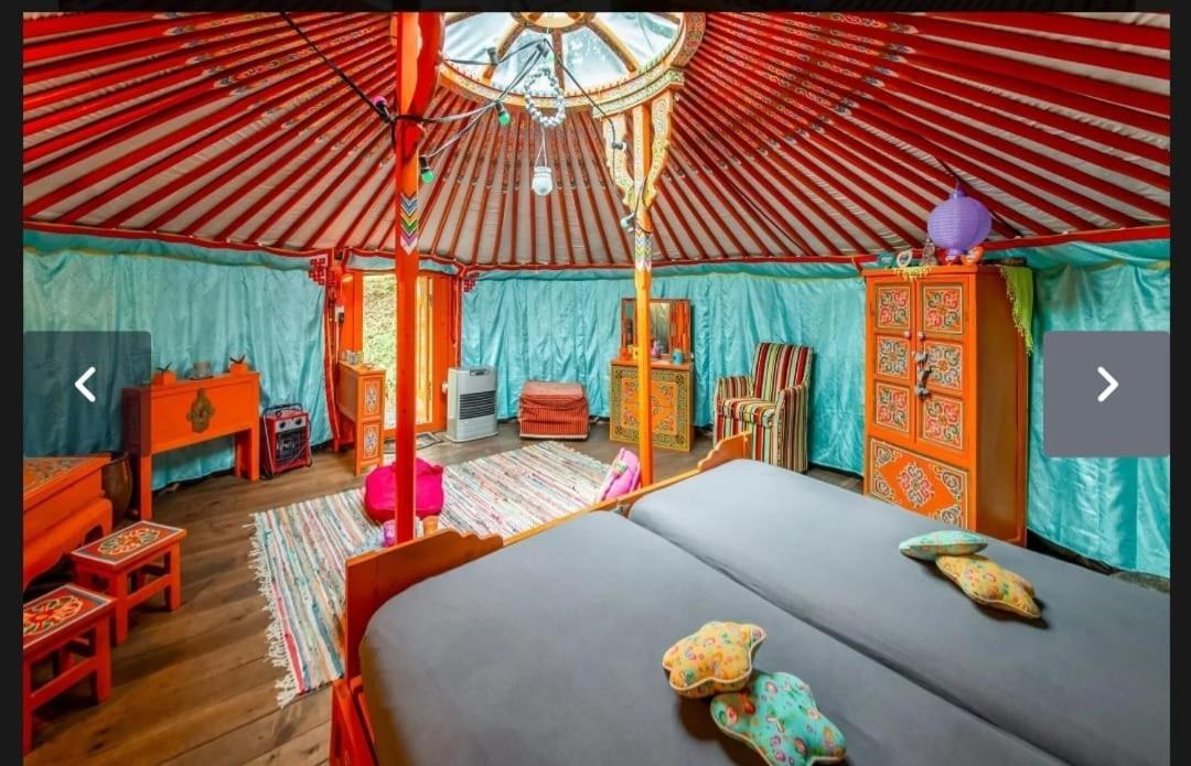 Yourte Mongole Et Cabane Houffalize Exterior photo